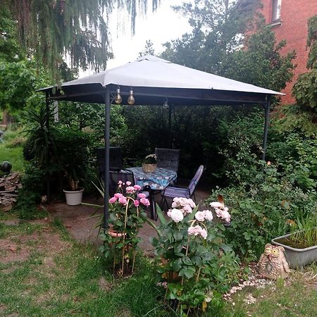 Ferienwohnung Markert Бланкенбург Стая снимка