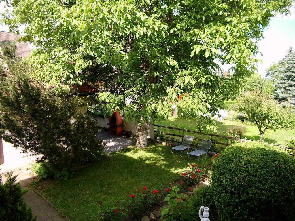 Ferienwohnung Markert Бланкенбург Екстериор снимка